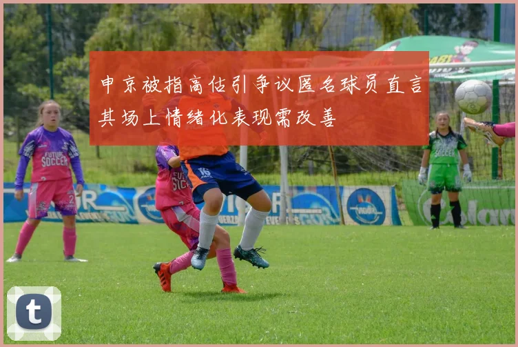 申京被指高估引争议匿名球员直言其场上情绪化表现需改善