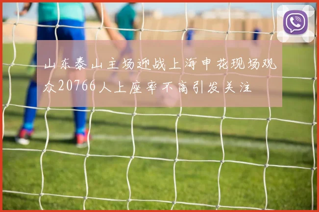 山东泰山主场迎战上海申花现场观众20766人上座率不高引发关注